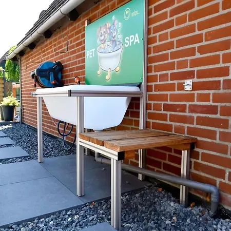 De Zeediek Holiday home