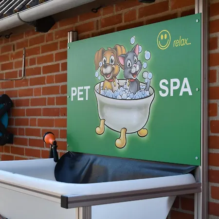 De Zeediek Holiday home