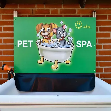 De Zeediek Holiday home