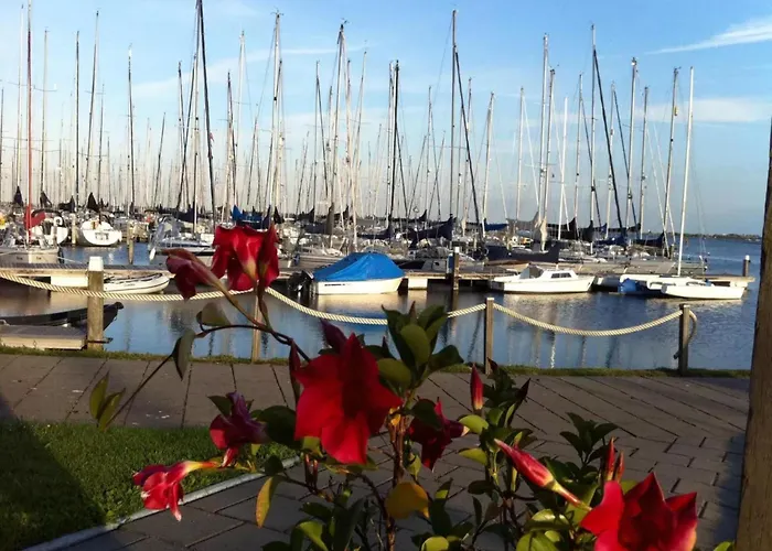 De Zeediek Hébergement de vacances